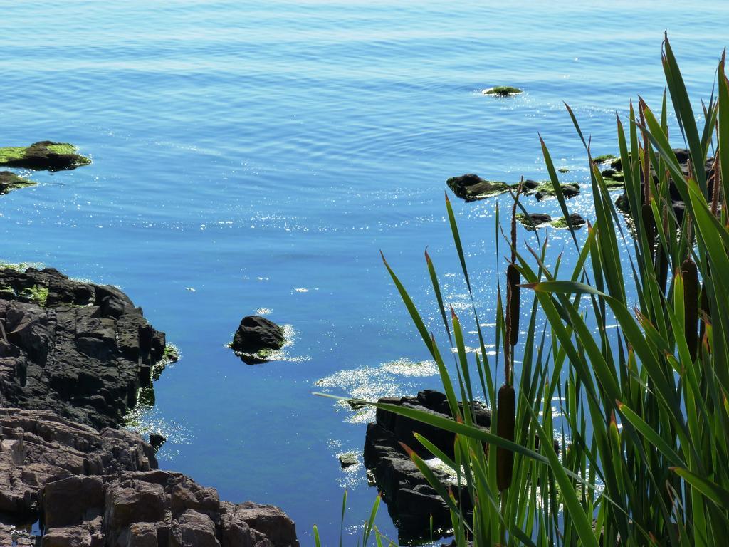 Sea View Apartments Sozopol Ngoại thất bức ảnh